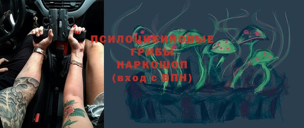 бошки Гусиноозёрск