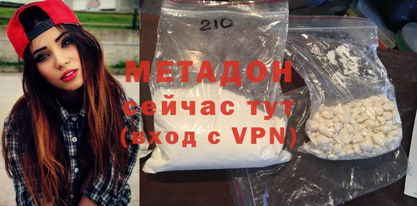 индика Нягань