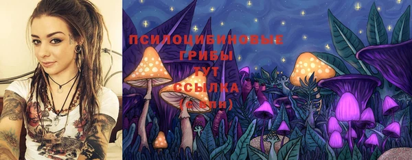 бошки Гусиноозёрск