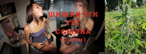 МДПВ Гусев