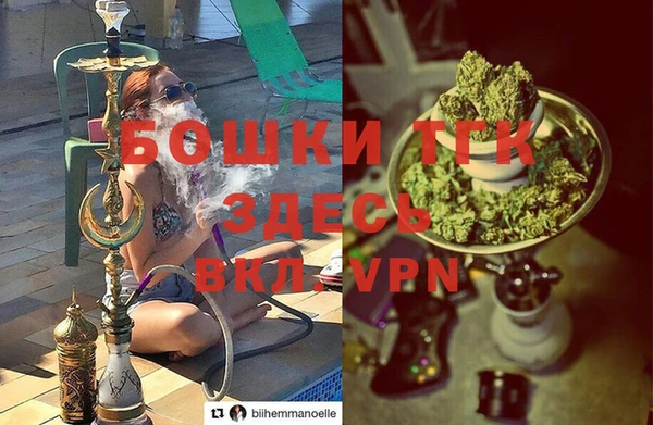 МДПВ Гусев