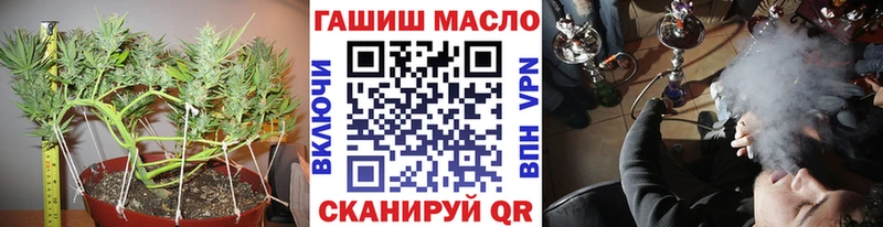даркнет телеграм  Пыть-Ях  ТГК жижа 
